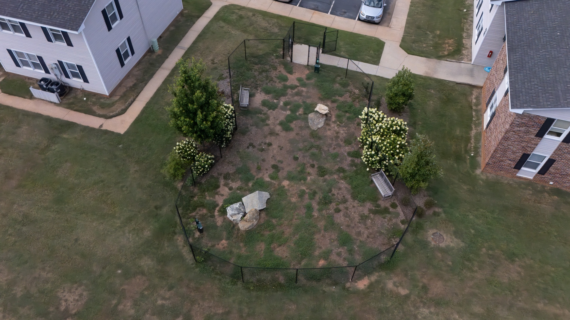 Dog Park